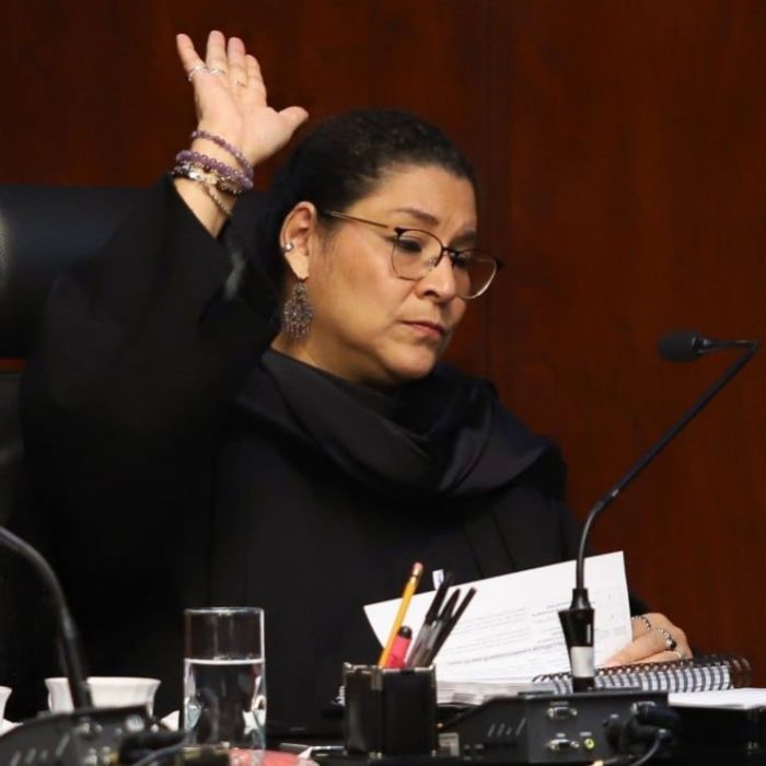 SCJN ordena al IMSS entregar lentes, audífonos y prótesis a menores; Lenia Batres vota en contra