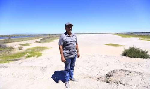 granja-de-camaron-en-eldorado-sinaloa-detiene-produccion-ante-desplome-de-precios-y-brotes-sanitarios