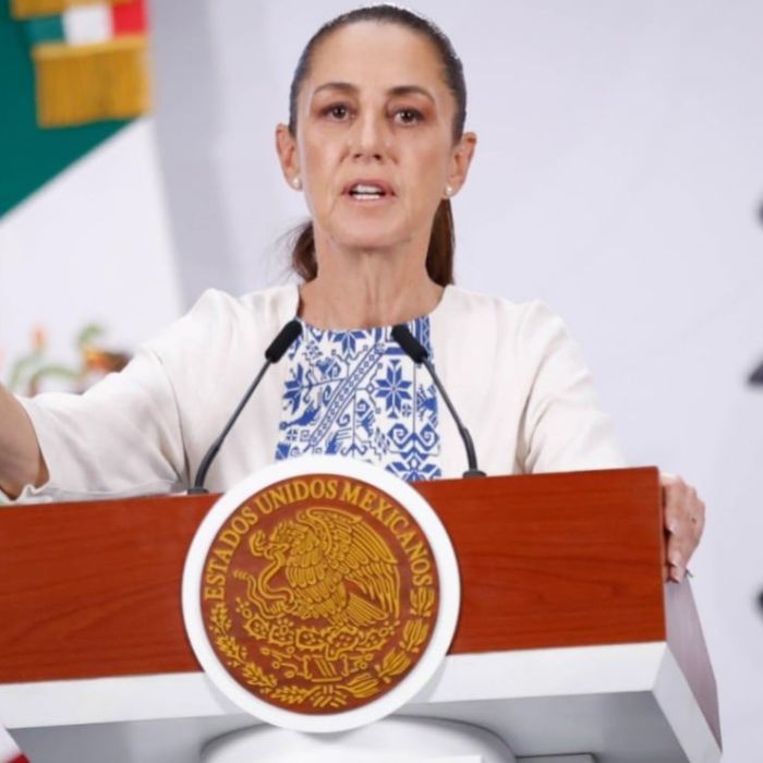 Sheinbaum pide a su gabinete definir si buscarán cargos en las elecciones de 2027