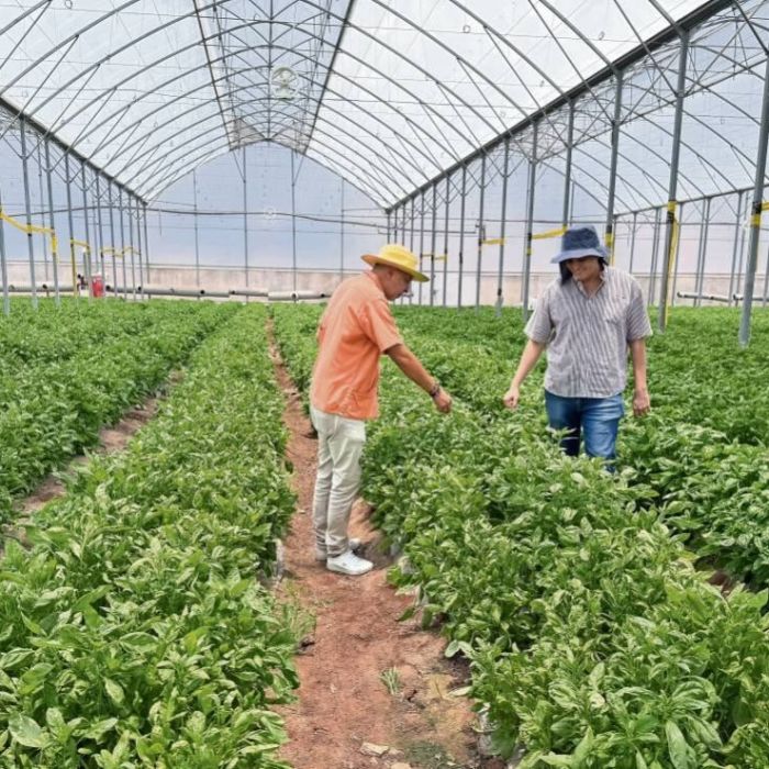 Morelos avanza hacia una transición agroecológica en 25 mil hectáreas