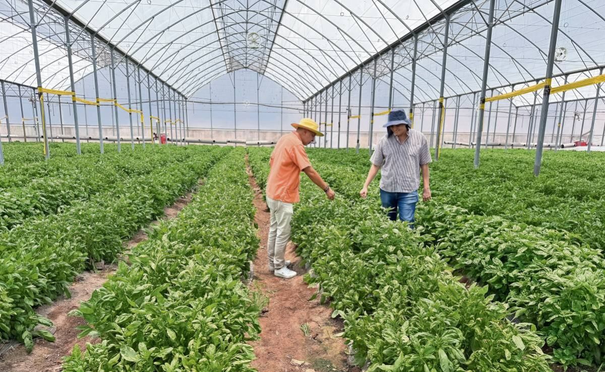 morelos-avanza-hacia-una-transicion-agroecologica-en-25-mil-hectareas