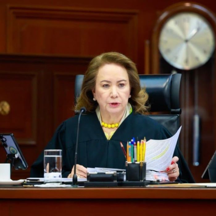 Yasmín Esquivel pide capacitación y especialización judicial para proteger a niñas, niños y adolescentes
